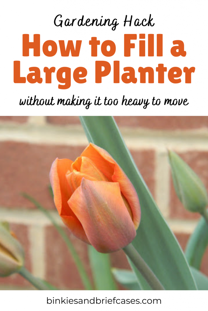 Planter Gardening Hack