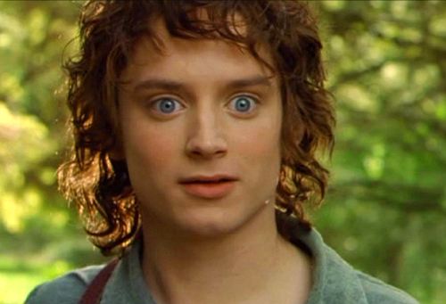 frodo-auenland