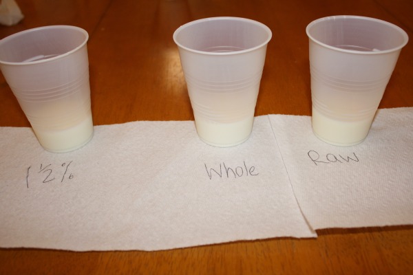 our milk experiment 4