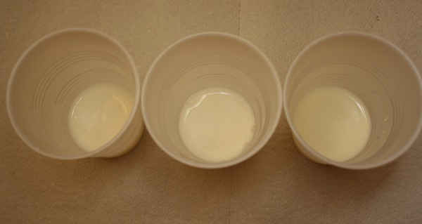 our milk experiment 7