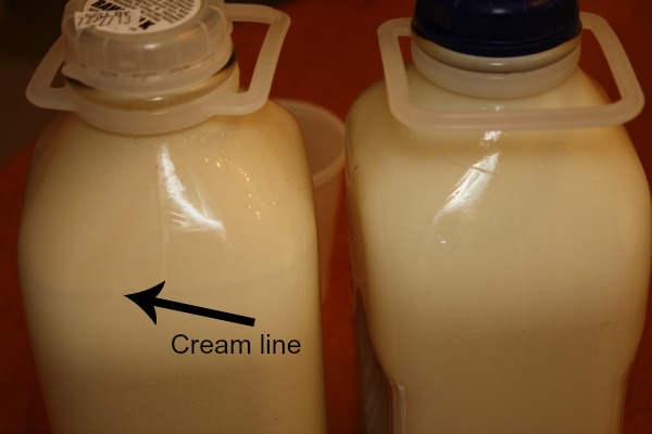 our milk experiment 8