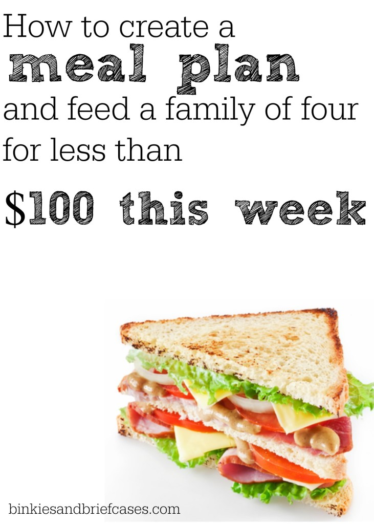 Creating a Family Meal Plan: How to Spend Less than $100 to Feed Your ...