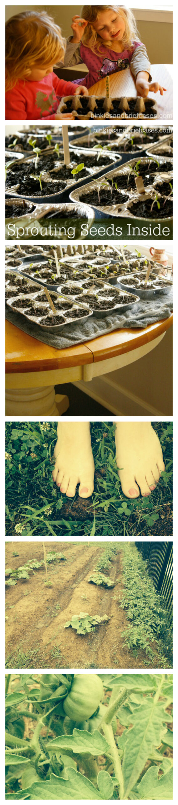 Sprout seeds inside. It's the least exensive and most educational way to grow a large garden!