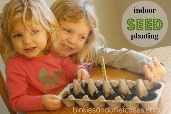 indoor seed planting