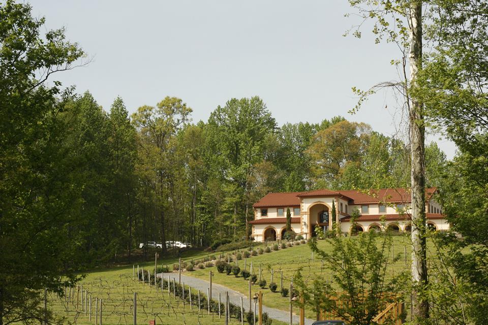 running hare vineyard