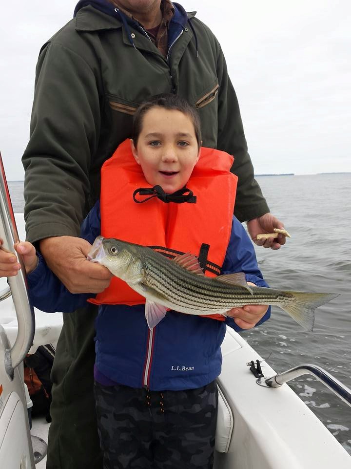 12108830_10203679717193715_3229053159776535557_n