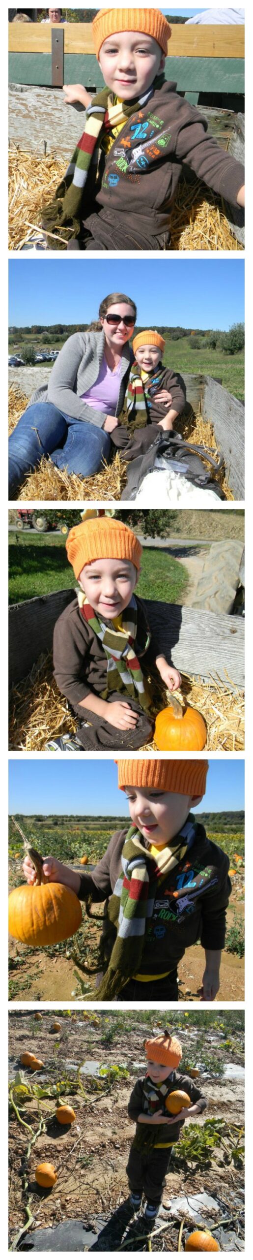 Pumpkin Sweater Hat How to turn an old sweater into an adorable fall hat for your toddler. This is a great beginner sewing project!
